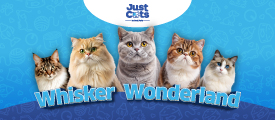 Just Cats by Just Pets Megastore Entrance Ticket