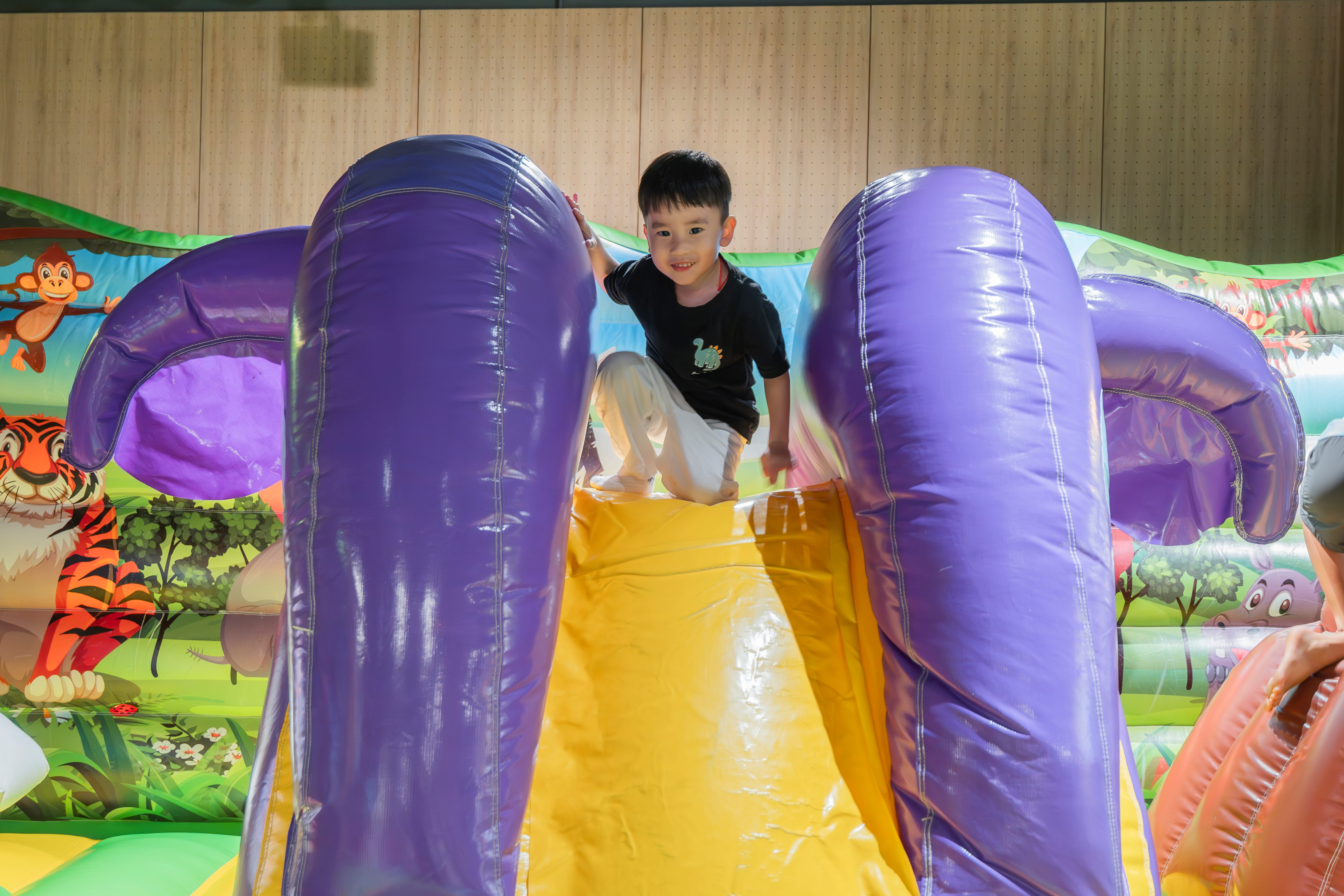 Inflatable Playground